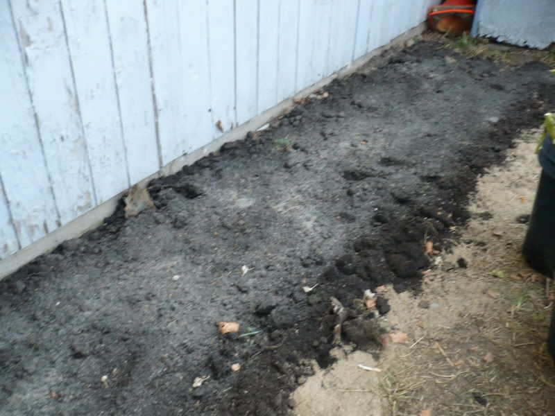 root vegetable bed