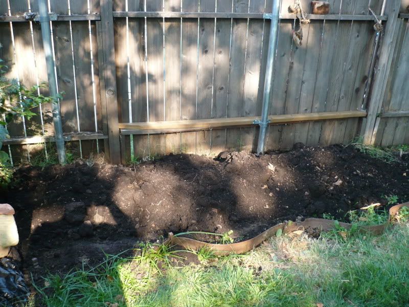 raised beds