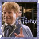 Harry Potter Gilderoy Lockhart avatar