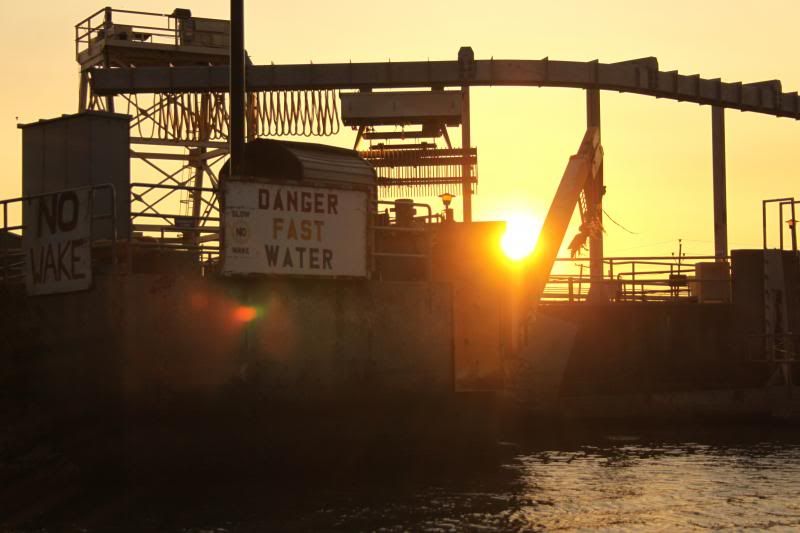 IMAGE: http://i31.photobucket.com/albums/c367/aanule/IMG_0431_zpsb02b3eee.jpg