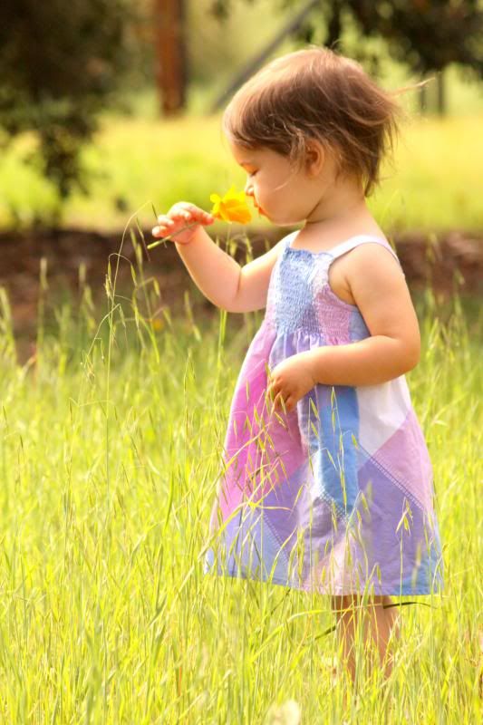 IMAGE: http://i31.photobucket.com/albums/c367/aanule/IMG_1292_zpsb860d661.jpg