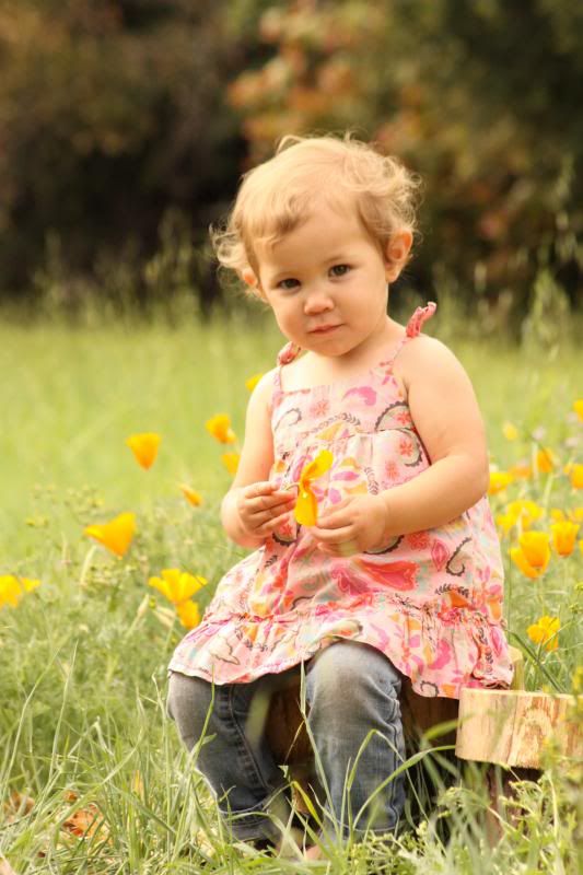 IMAGE: http://i31.photobucket.com/albums/c367/aanule/IMG_1318_zps80fef2b8.jpg