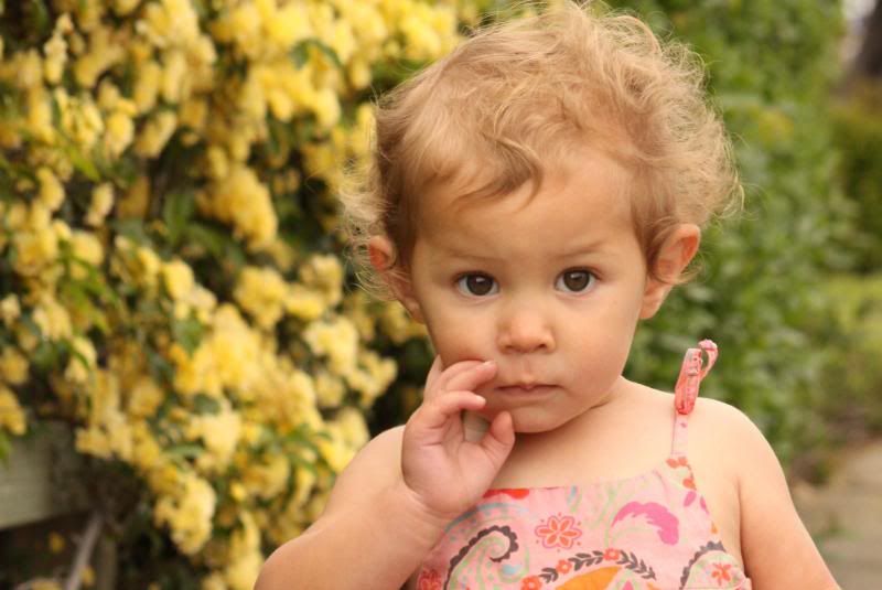 IMAGE: http://i31.photobucket.com/albums/c367/aanule/IMG_1335_zps67124910.jpg