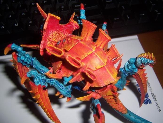 Spiderfex4.jpg