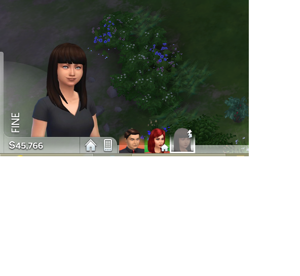 sims422.png