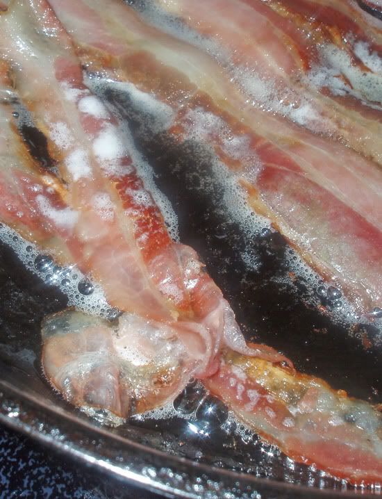 16Easter-2011-BaconBrittleB.jpg