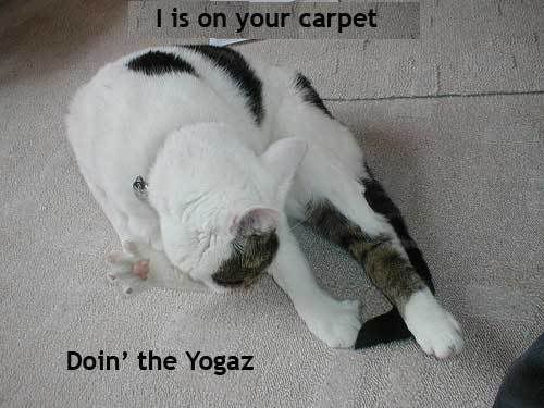 yoga.jpg