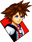 sora.gif