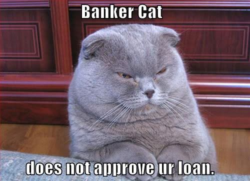 banker-cat.jpg