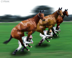 horseracefx3.gif