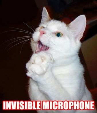 invisible-microphone.jpg