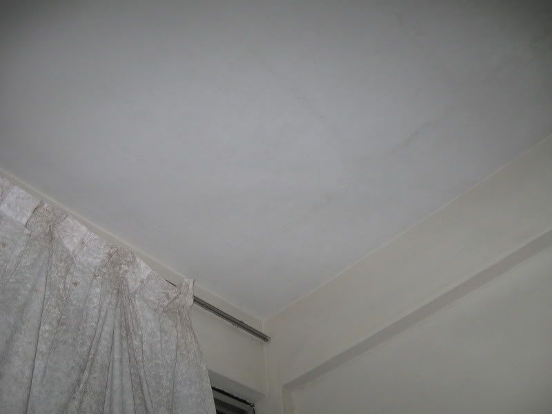 IMAGE: http://i31.photobucket.com/albums/c370/dragonhole/Picture047a.jpg