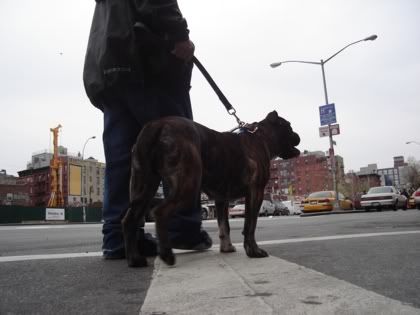 Image hosting by Photobucket