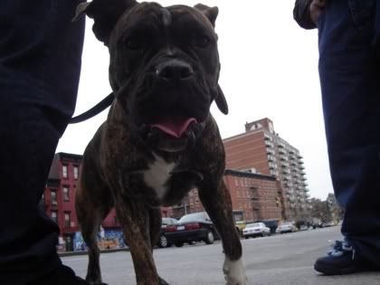 Image hosting by Photobucket