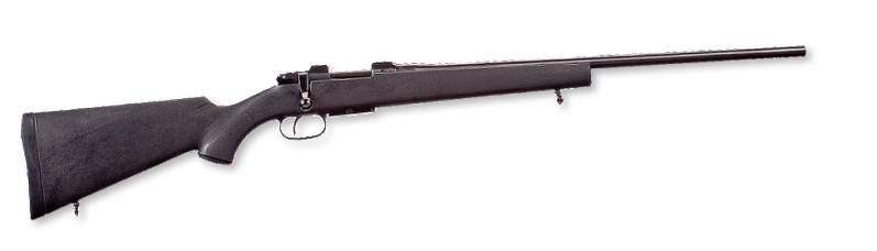 CZ_527_SYNTHETIC.png