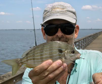 fish pinfish fishing 2007 tackle