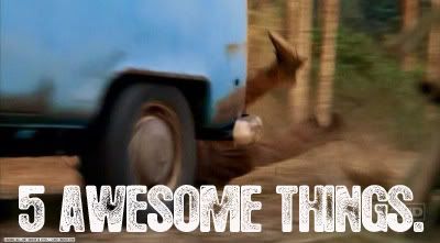5 Awesome Things...