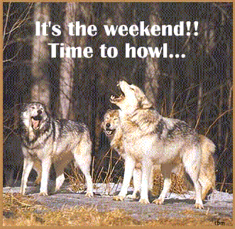 WolvesHowls.gif image by -WhiteEagle-