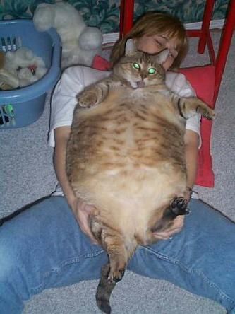 Meow.