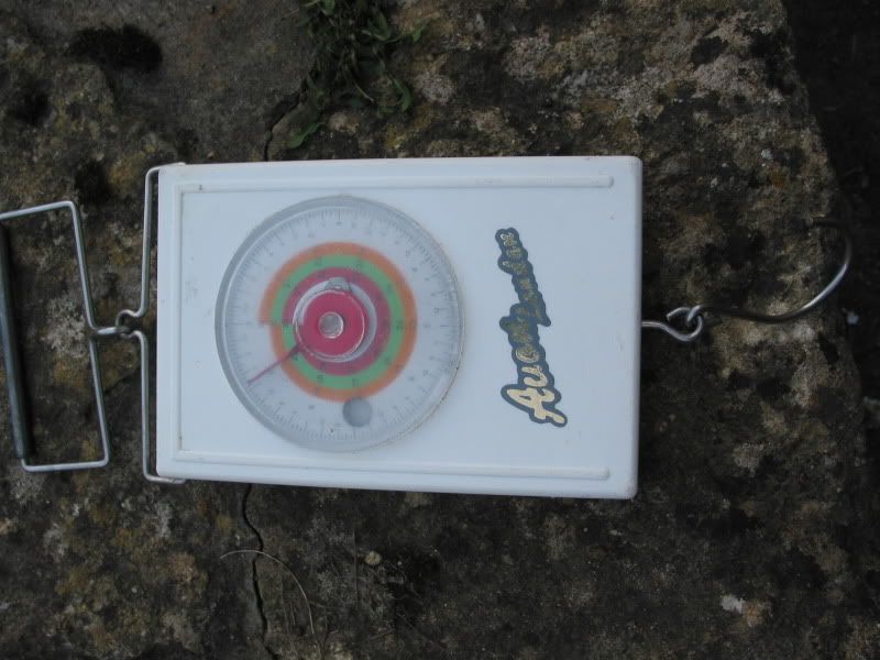 Avon scales 40lb Barbel Fishing World Forums