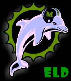 dolphinhelmet.jpg picture by yaniel