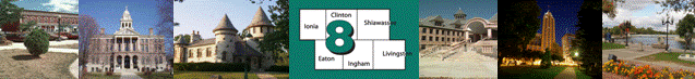 MI-SBTDC Region 8