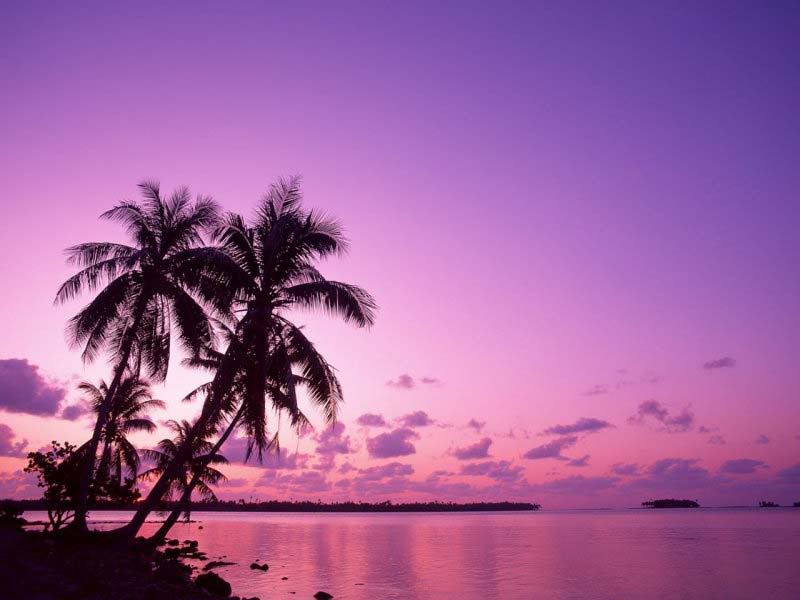 purple sunset beaches. Purple Sunset Image