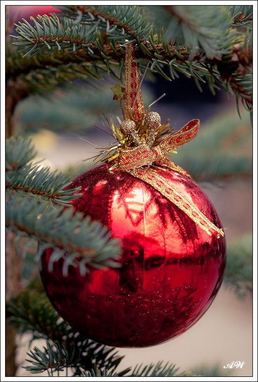 Рождественский календарь. 1 декабря Photobucket