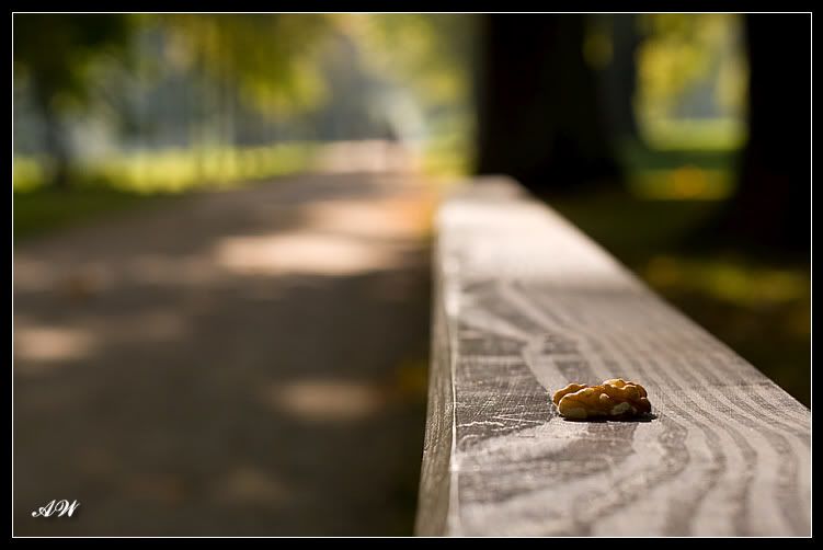 Как мы провели выходные... Photobucket
