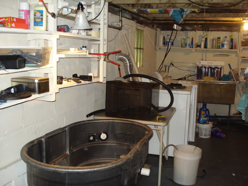 basementsump2.jpg