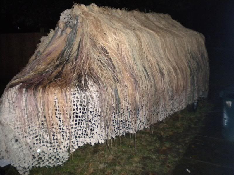 Raffia Grass Duck Hunting Forum