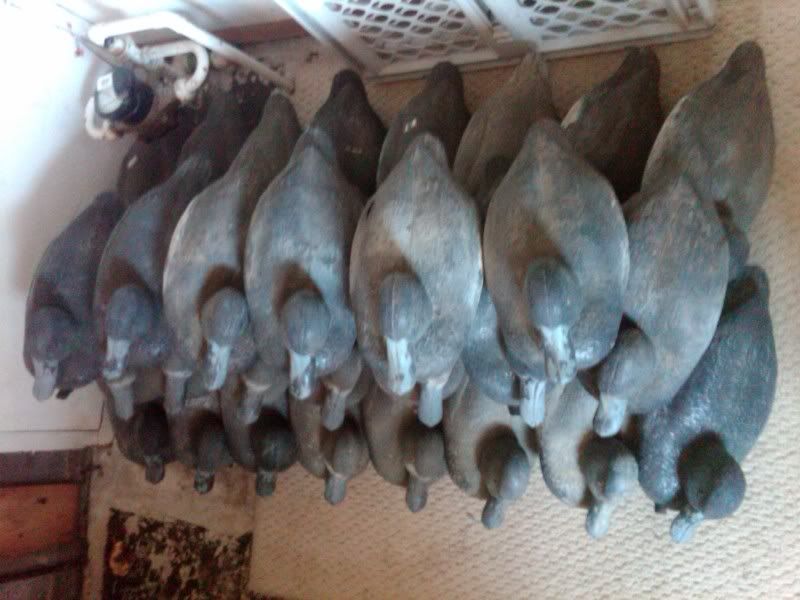 What Should I Paint duck hunting chat • decoys need painting, what should i paint them What Should I Paint duck hunting chat • decoys need painting, what should i paint them