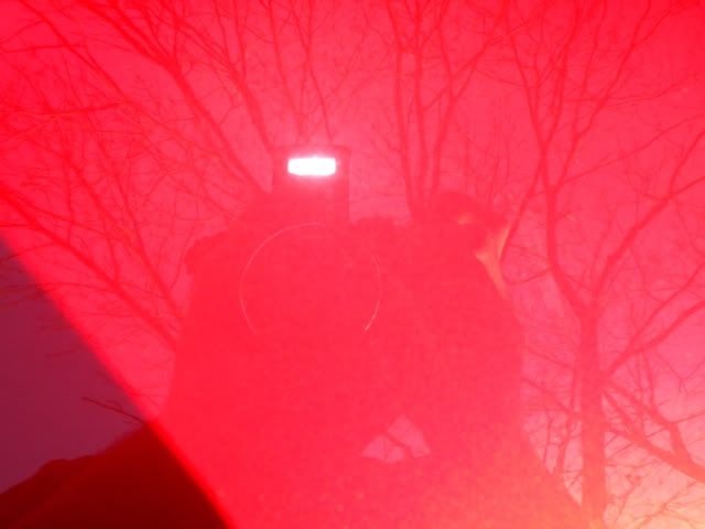 DSCN8933.jpg