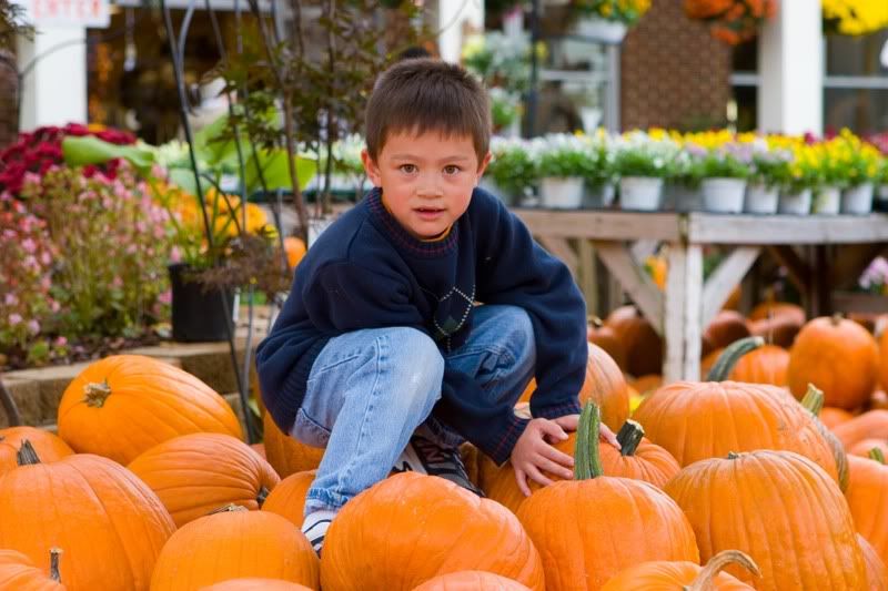 IMAGE: http://i31.photobucket.com/albums/c379/sbastian/Gregonpumpkins1.jpg