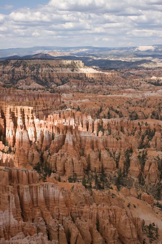 IMAGE: http://i31.photobucket.com/albums/c379/sbastian/IMG_1570Lightshadows.jpg