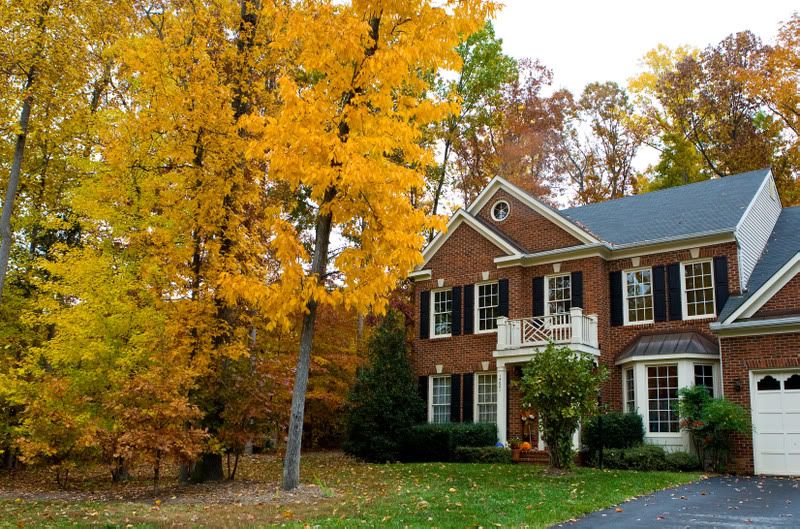 IMAGE: http://i31.photobucket.com/albums/c379/sbastian/IMG_1985_House.jpg