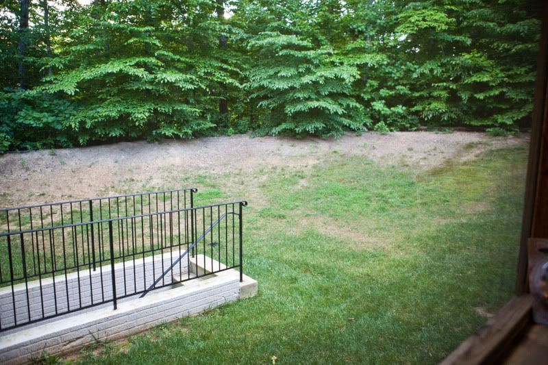 IMAGE: http://i31.photobucket.com/albums/c379/sbastian/IMG_8731Patiobeforework.jpg