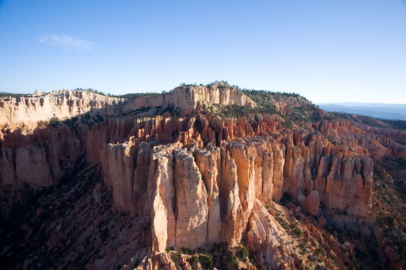 IMAGE: http://i31.photobucket.com/albums/c379/sbastian/IMG_9739CanyonFront.jpg