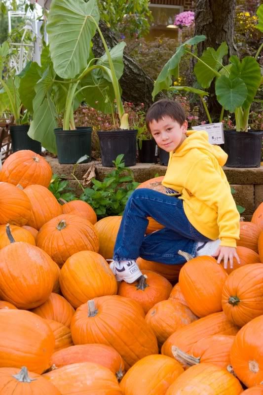 IMAGE: http://i31.photobucket.com/albums/c379/sbastian/JaredonPumpkins1.jpg