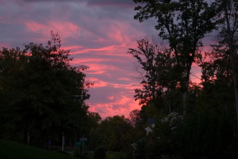 IMAGE: http://i31.photobucket.com/albums/c379/sbastian/Sunset1.jpg