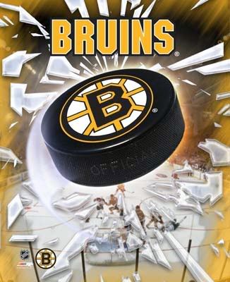 boston bruins logo wallpaper. oston bruins Image