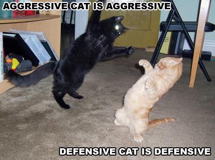 Defensive.jpg