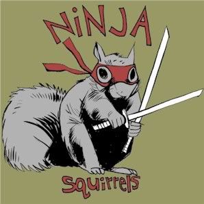 ninja_squirrel.jpg