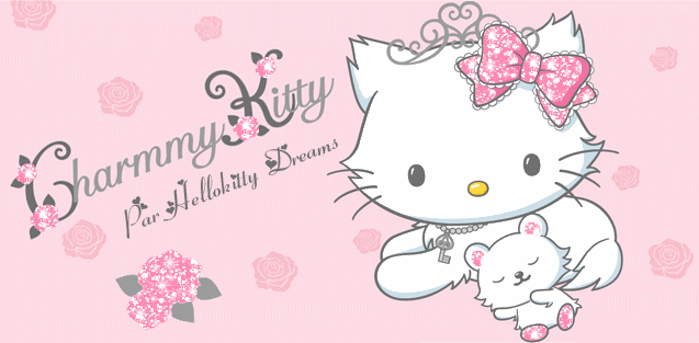 char kitty banner