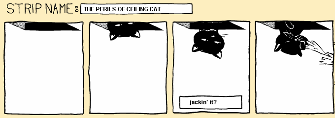 the perils of ceiling cat