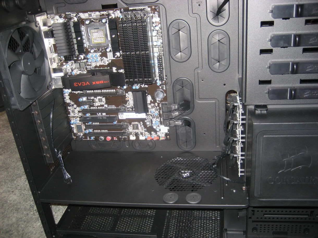 IMG_0244.jpg?t=1267485098