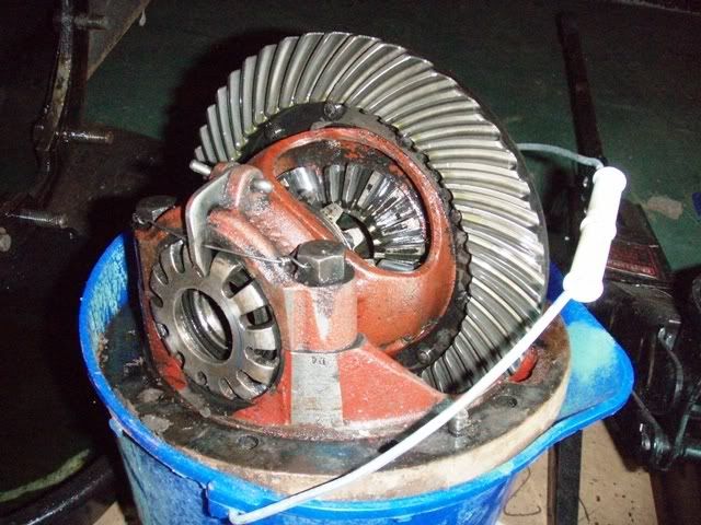 P5100062b.jpg