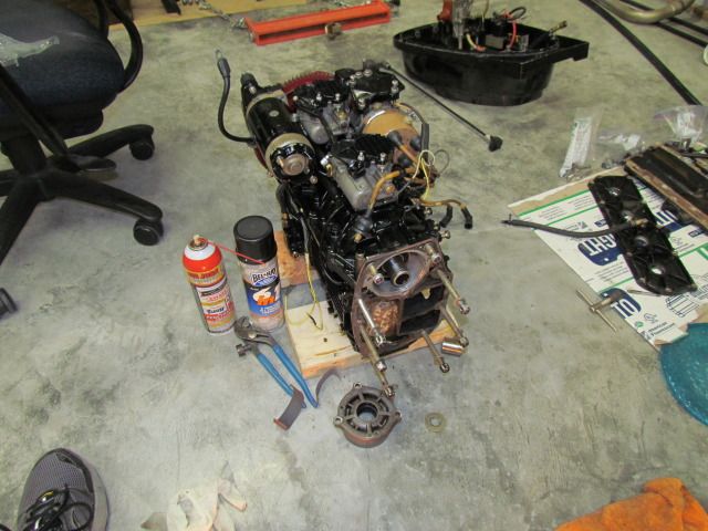 IMG_3662.jpg