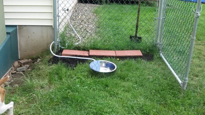 Neat Idea Doggie Dormer For Bilco Door Gun Dog Forum