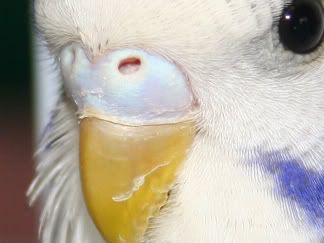 resize2.jpg